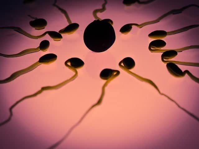 azoospermia treatment cost Kolkata 2019