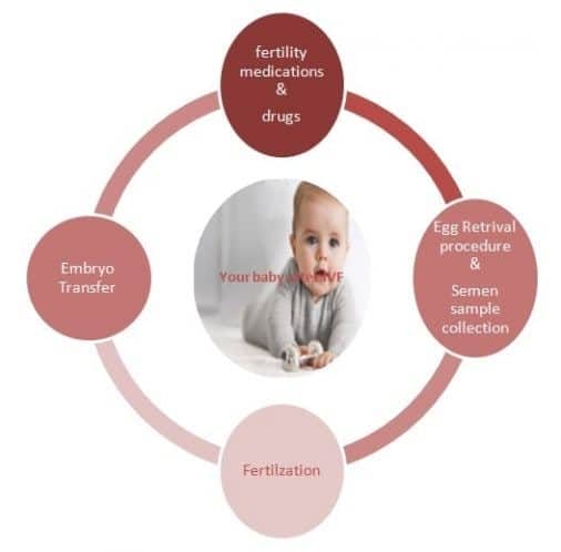 ivf hyderabad 2019