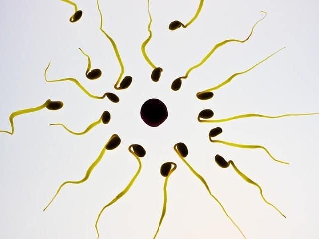 ovulation induction cost Kolkata 2019