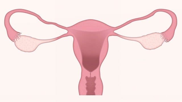 Hysteroscopy Cost In Gurgaon 2020